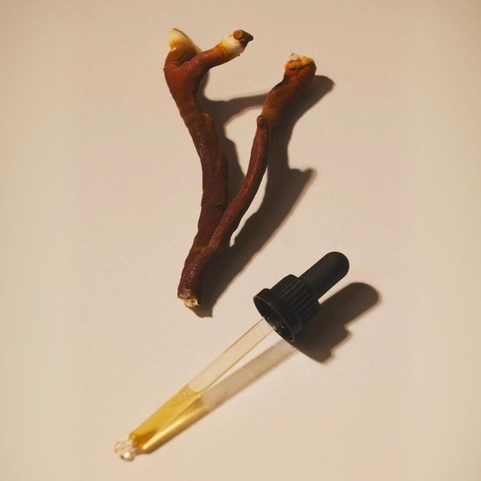 Mind Studio Reishi Flytende Ekstrakt