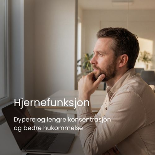 Person som jobber fokusert ved en laptop i naturlig lys, som illustrerer energi, mental klarhet og konsentrasjon