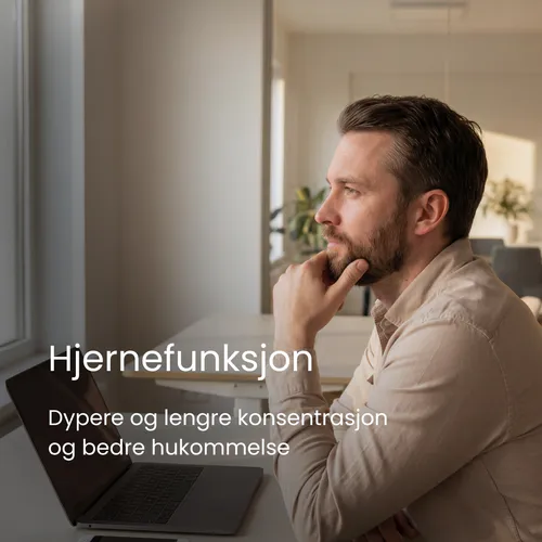 Person som jobber fokusert ved en laptop i naturlig lys, som illustrerer energi, mental klarhet og konsentrasjon